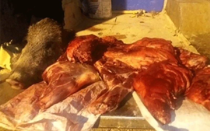 خرید و فروش گوشت گراز