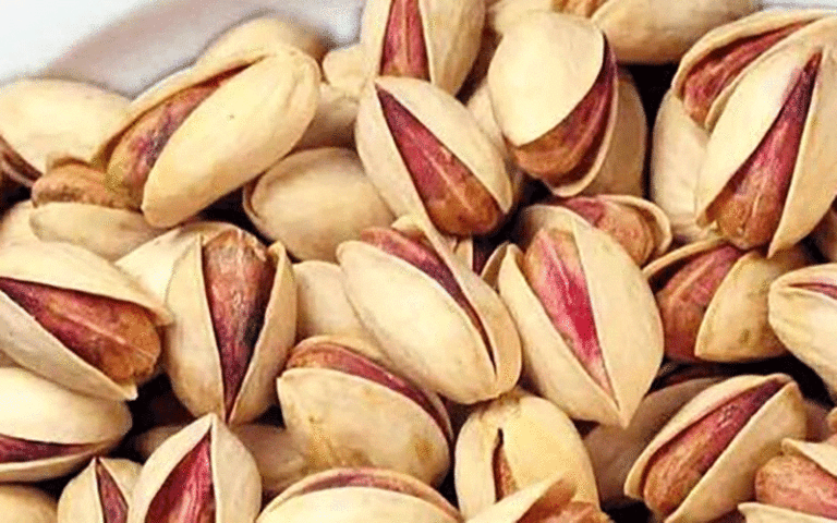 آجیل و خشکبار