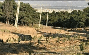 بوستان جنگلی سرخه حصار