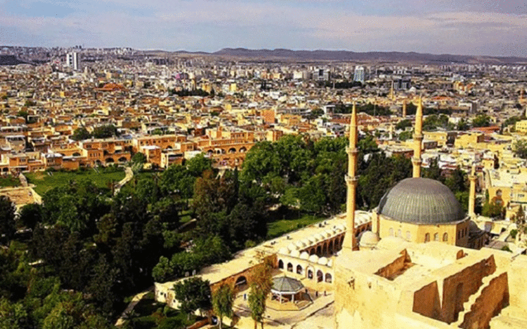 اردوغان
