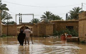 کنترل سیل‌