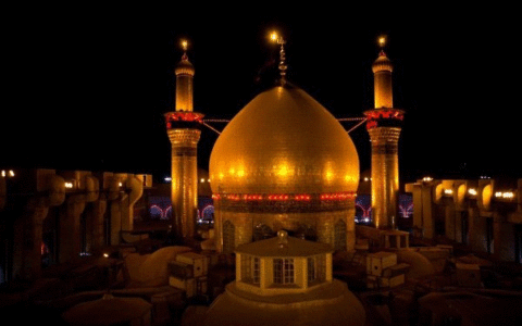 امار زائران