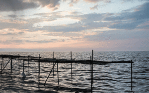 آب سدهای آذربایجان غربی