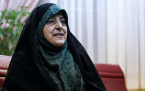 تحصیلات دانشگاهی