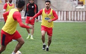 امید زردپوش پرسپولیس