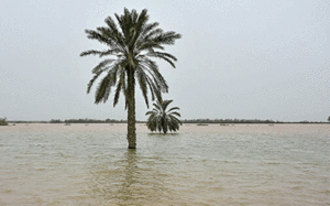 سازمان هواشناسی