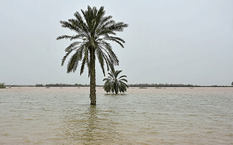 سازمان هواشناسی
