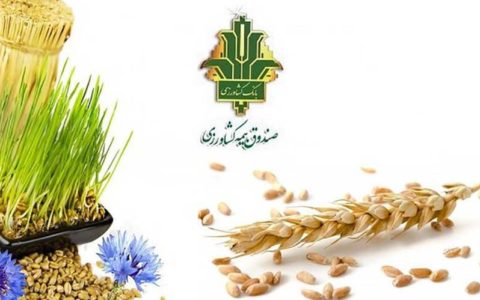 کشاورزان سیل زده