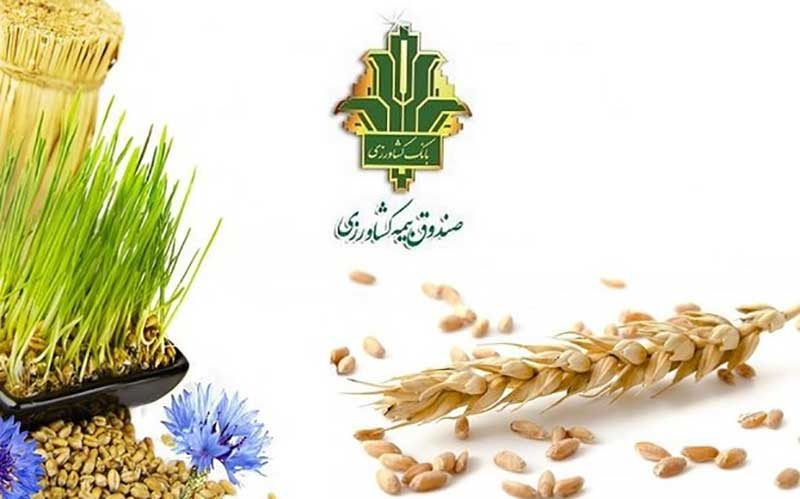 کشاورزان سیل زده