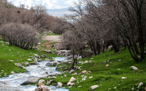 کنترل سیلاب