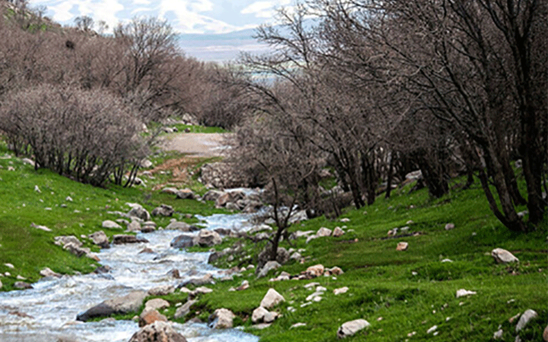 کنترل سیلاب