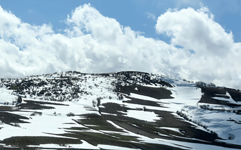 سامانه بارشی