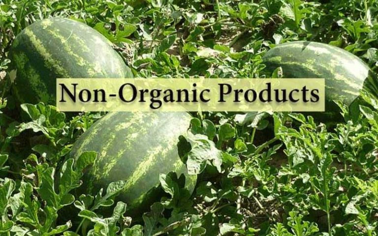 موادغذایی غیرارگانیک