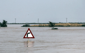 محسن دهان‌زاده،