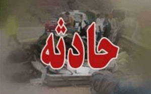 ولی سیفی