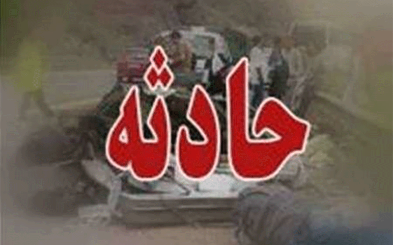 ولی سیفی