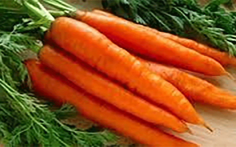 بینایی