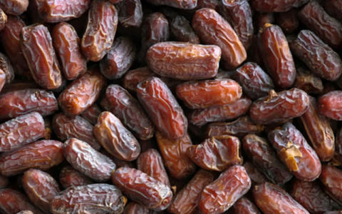 صادرات خرما
