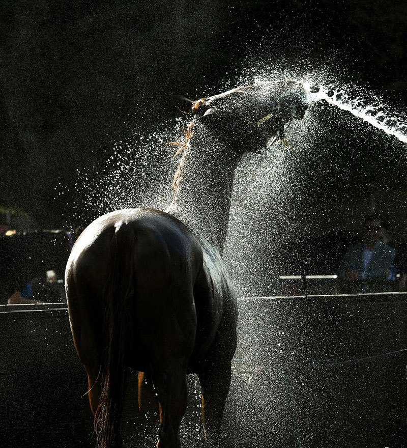 تصاویر : دیدنیهای امروز یکشنبه15 اردیبهشت ماه