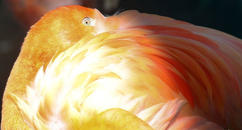 تصاویر : دیدنیهای امروز یکشنبه15 اردیبهشت ماه