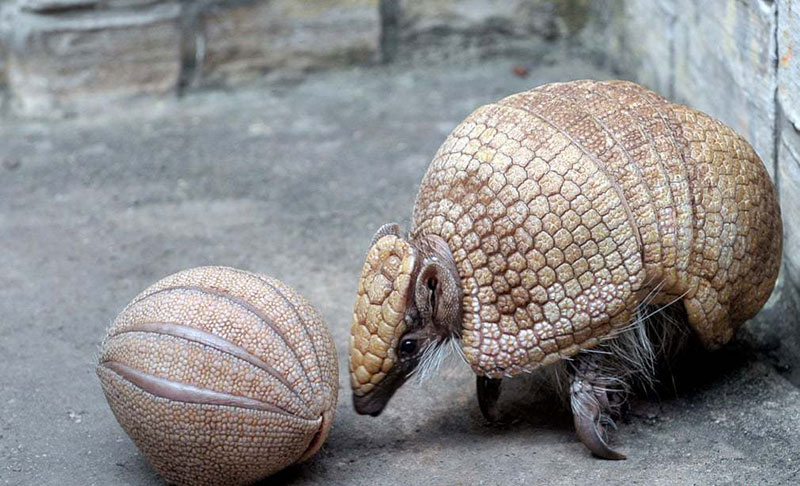 تصاویر : دیدنیهای امروز یکشنبه15 اردیبهشت ماه