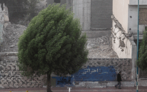 وزش باد شدید