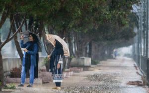 بارش شدید باران