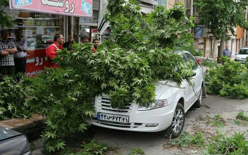 "توفان تندری" در انتظار تهران و ۳ استان دیگر