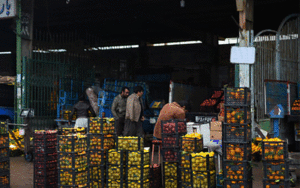 میادین میوه و تره بار