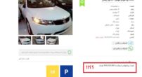 cerato