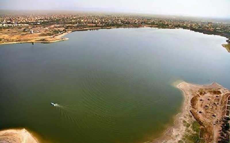 در انتظار ادامه نمایش زیبای ایگور و شاگردان