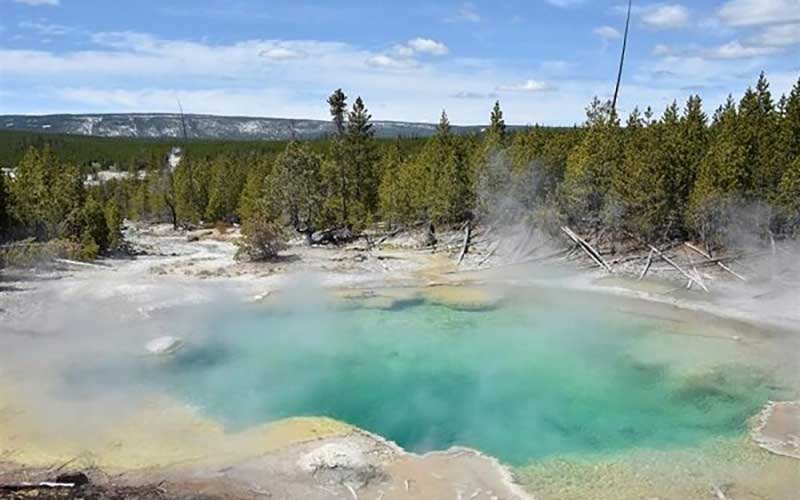 در انتظار ادامه نمایش زیبای ایگور و شاگردان