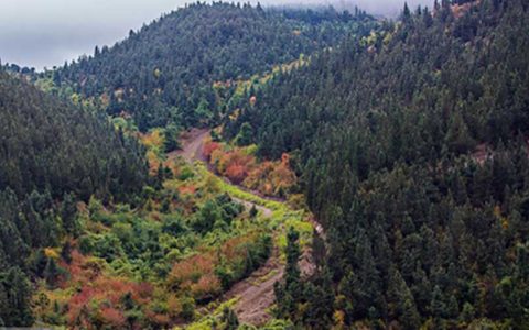 کاهش دما در شمال کشور