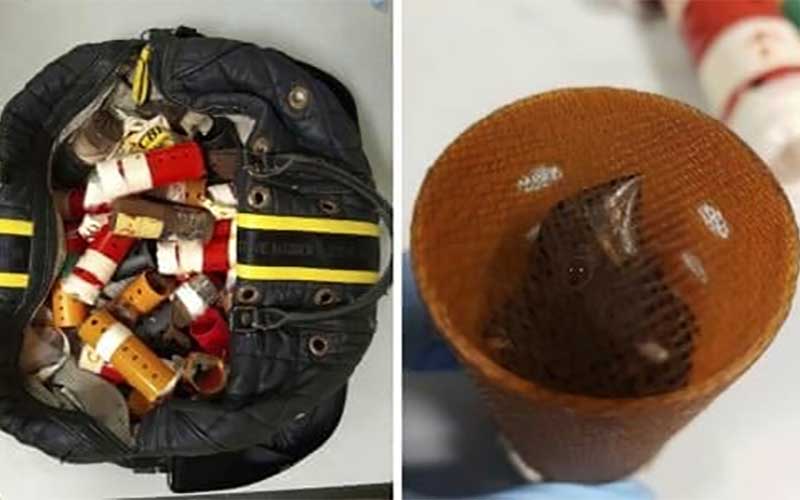 تلاش برای قاچاق پرندگان سهره با بیگودی مو
