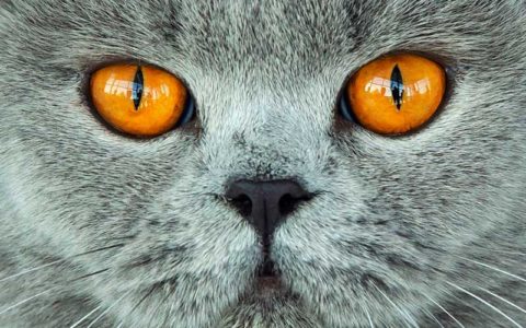 تصاویر : دیدنی‌های امروزسه شنبه14خردادماه