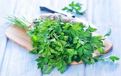 معجزه جعفری برای پاکسازی کلیهها 1 معجزه جعفری برای پاکسازی کلیهها