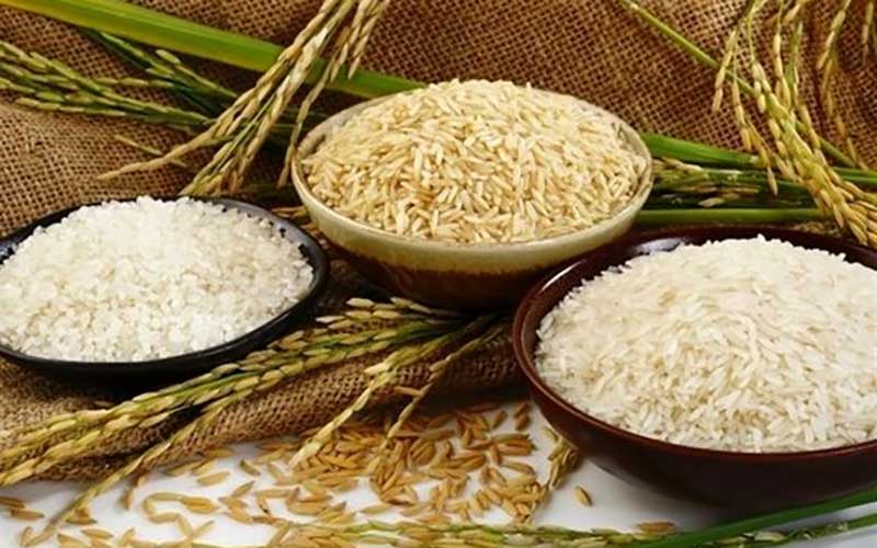 مجلس با حذف ارز دولتی واردات برنج مخالف است
