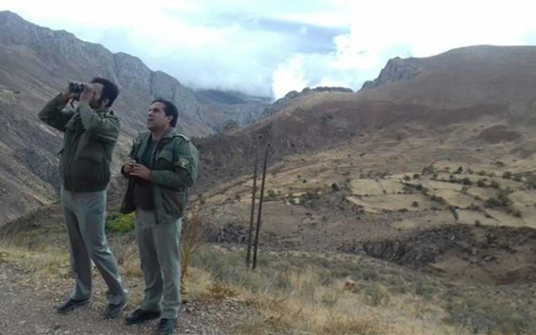 67