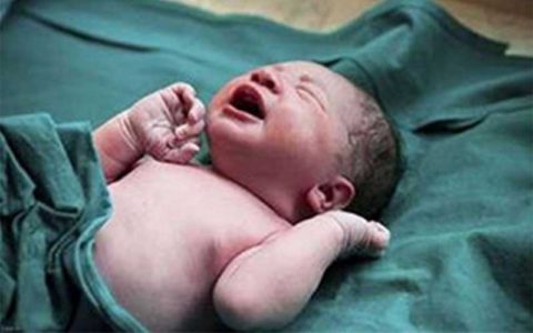 شرایط درمان ناباروری با اهدای تخمک 1 شرایط درمان ناباروری با اهدای تخمک