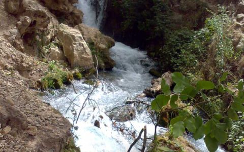 خطر هپاتیت و مشکلات آب و فاضلاب در لردگان