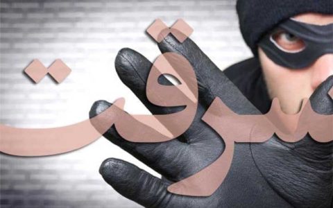 فیلم لحظه سرقت از یک زن در روز روشن