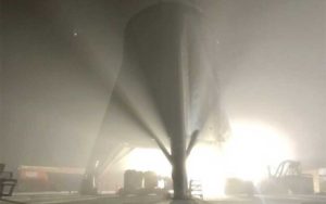 31