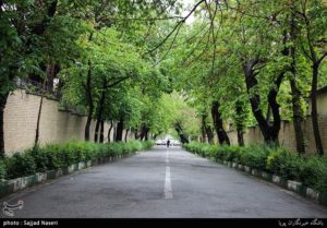 زمین ۳۰۰۰ متری