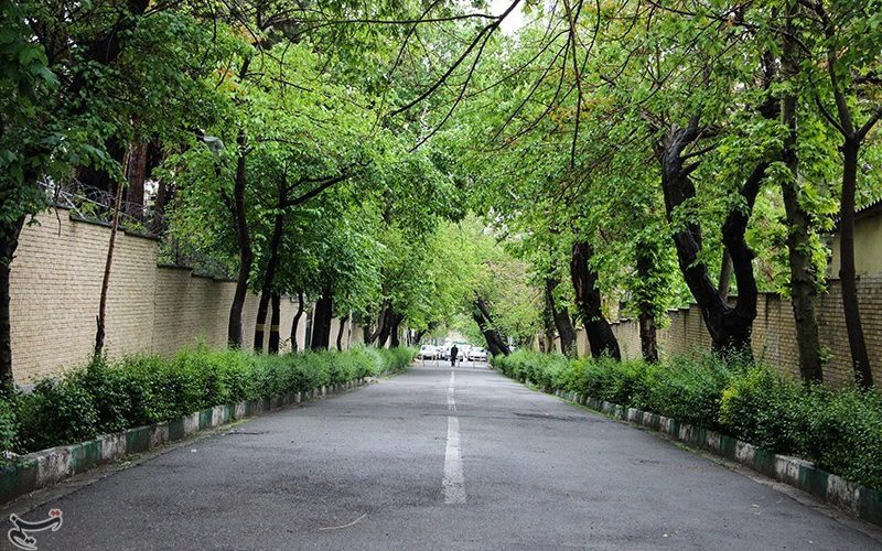 زمین ۳۰۰۰ متری