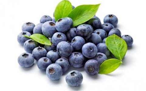 فایده بلوبری برای داشتن پیری سالم 1 فایده بلوبری برای داشتن پیری سالم