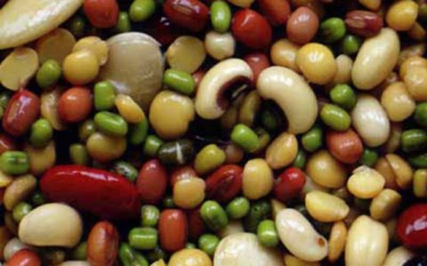 مصرف پروتئین گیاهی عمر را طولانی میکند 1 مصرف پروتئین گیاهی عمر را طولانی میکند
