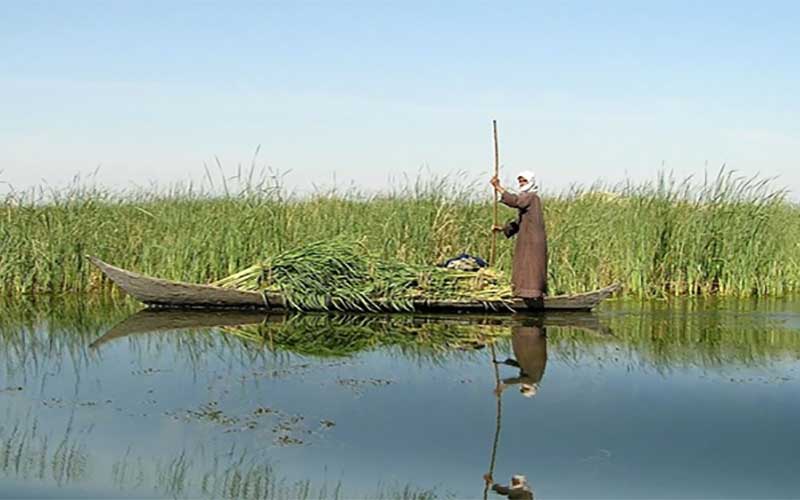 بخشی از کانونهای گرد و غبار تالاب هامون سیراب شدند
