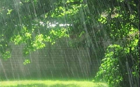 بارندگی در شمال/ هوا از فردا خنک میشود