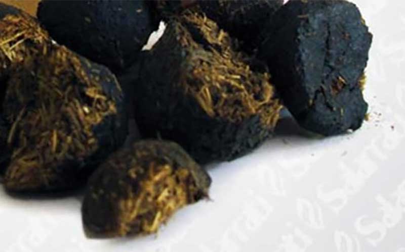 تمام خواص "عنبرنسارا" از زبان یک متخصص طب ایرانی