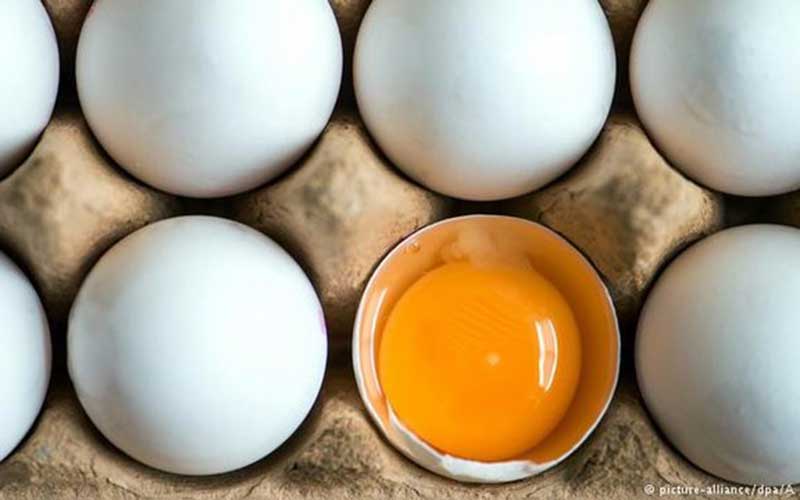 در مصرف تخممرغ هوشیار باشید